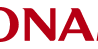 Visa partner logo