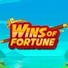 Wins of Fortune game screenshot